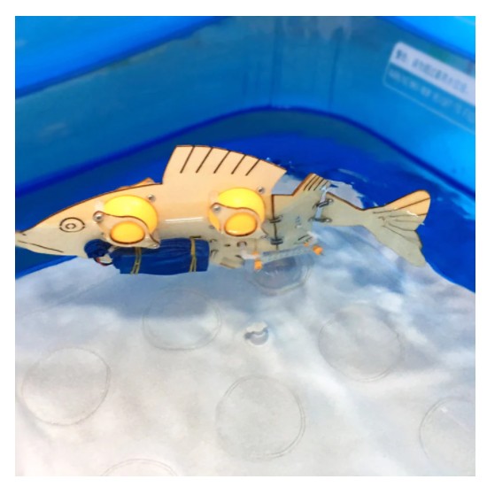 STEM MECHANICAL FISH PROJECT