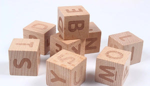 MONTESSORI TODDLER SPELLING BLOCKS